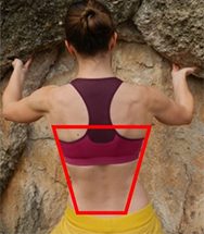 Alongamento para escalada: músculo dorsal largo