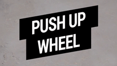 push up wheel